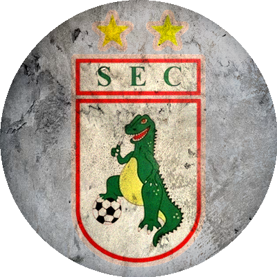 Logo Sousa Esporte Clube
